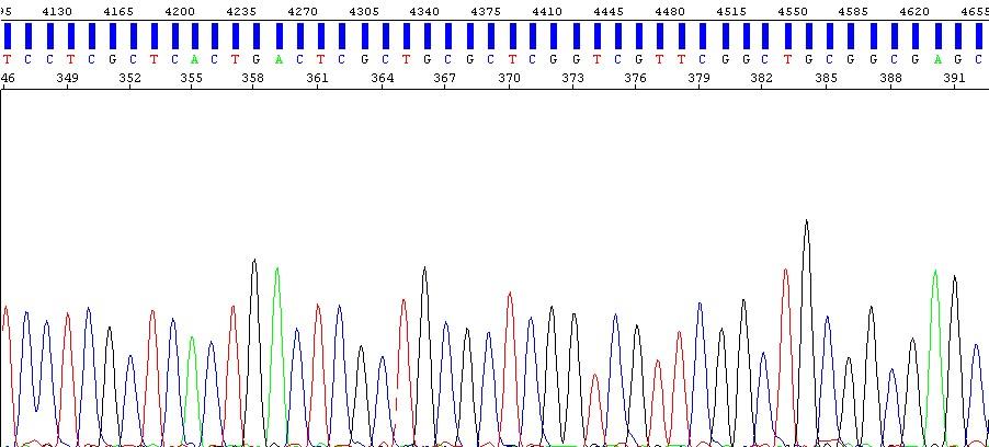 figure2.jpg figure2.jpg