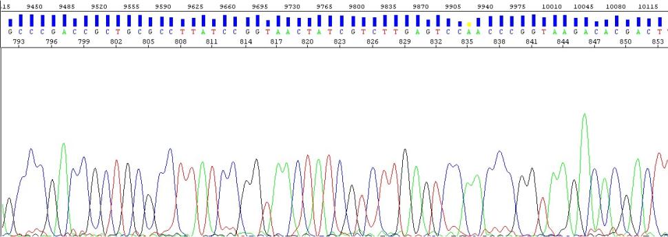figure3.jpg figure3.jpg