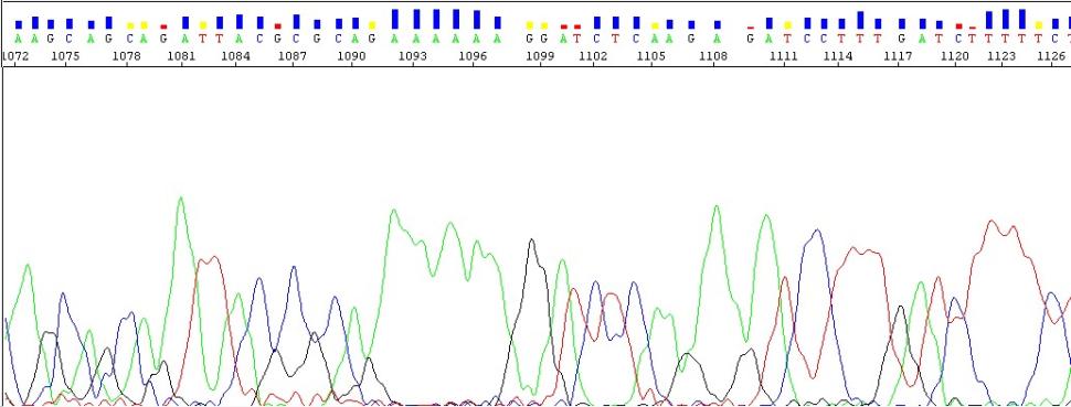 figure4.jpg figure4.jpg