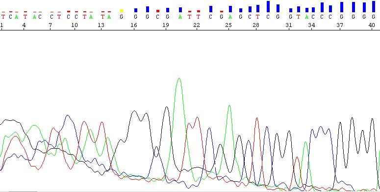 figure5.jpg figure5.jpg